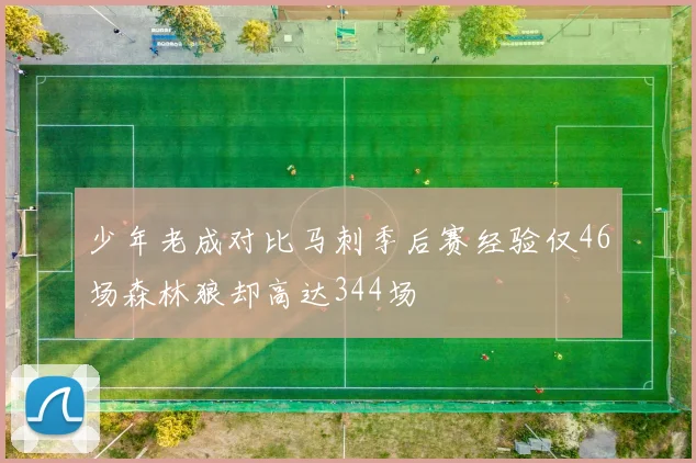 少年老成对比马刺季后赛经验仅46场森林狼却高达344场